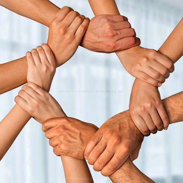 Talleres de Cuerdas Bajas para potenciar accountability y trabajo en equipo empresarial