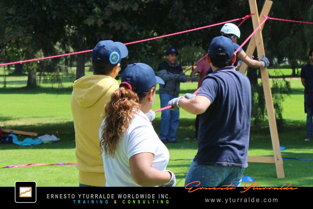 Programas de Team Building con Cuerdas Bajas para mejorar la cohesión y confianza