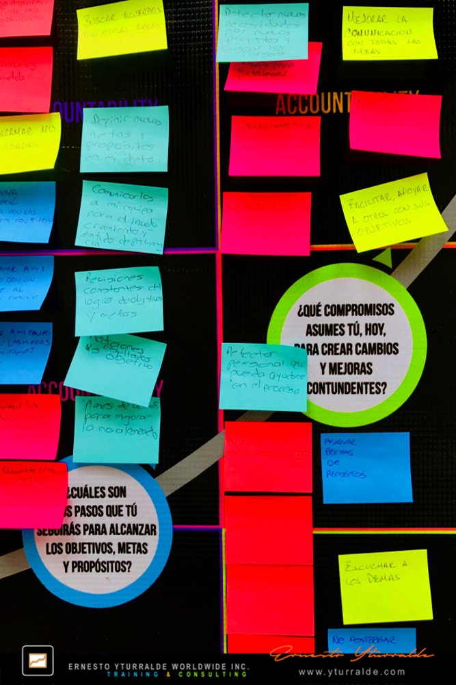 Team Building LATAM Talleres de Cuerdas Bajas para la cohesión de equipos de trabajo